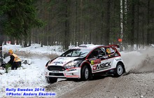 RS2014_eka_004