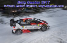 RS2017_11Hanninen_SD01_web