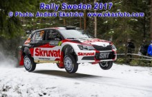 RS2017_17Solberg_SD01_web