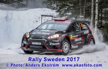 RS2017_36Brynildsen_SD01_web