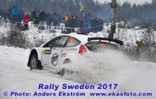 RS2017_85blomberg_ss9_2_web