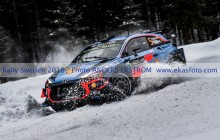 RS2018_05neuville01